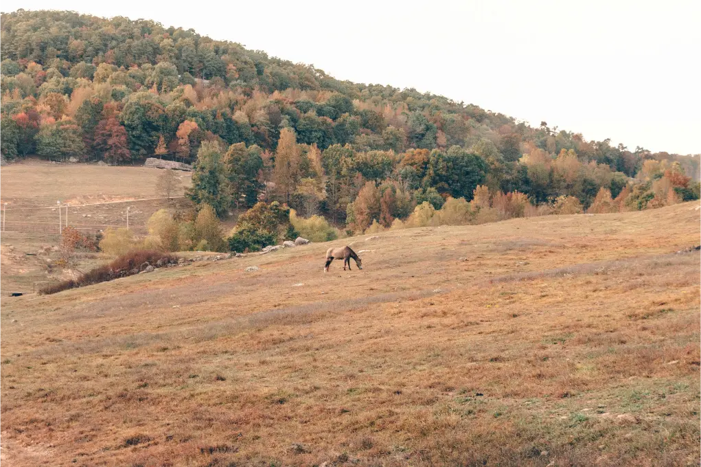 Arkansas