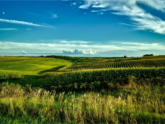 Iowa