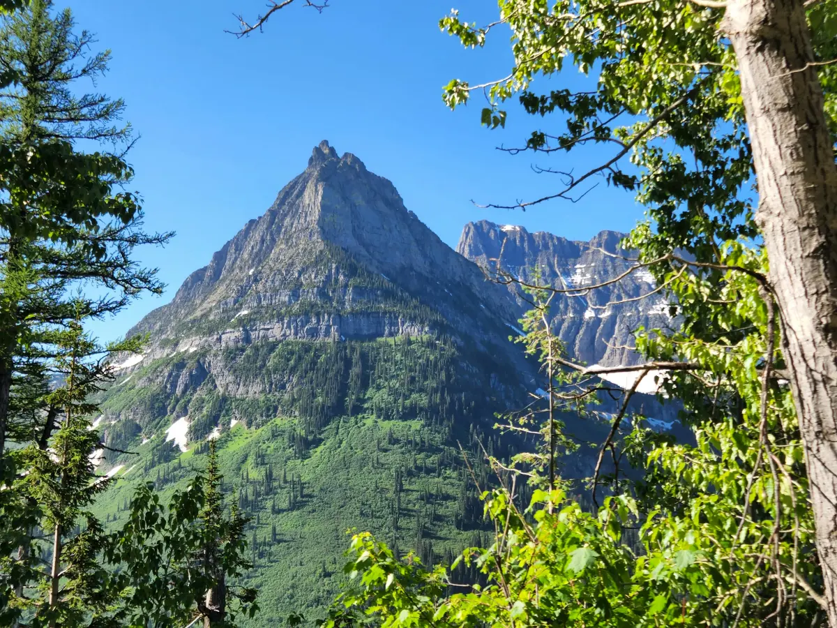 Montana
