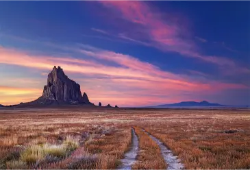 moving companies in new mexico